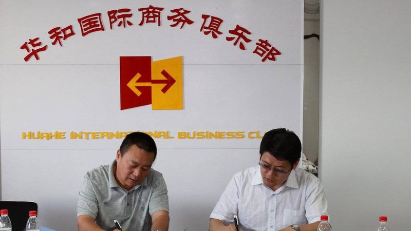 解码管理咨询公司分类标准：把握行业脉络**